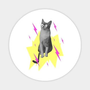 Annoyed, comical cat summoning pink lightning Magnet